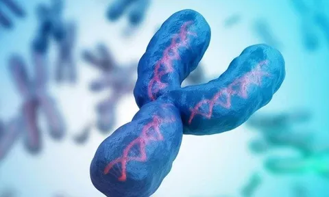 Nam giới đang mất dần nhiễm sắc thể Y