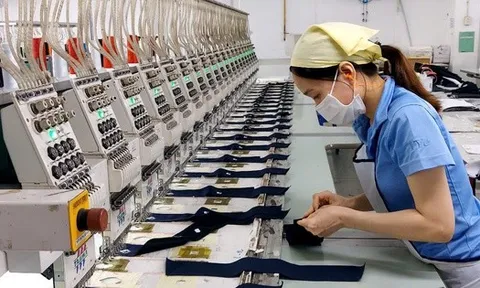 Người lao động không phải thực hiện quyết toán thuế TNCN trong trường hợp nào?