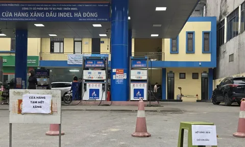 Một công ty treo biển hết xăng, thua lỗ muốn ngừng kinh doanh