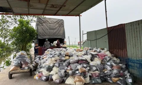 Vụ án 100 tấn thực phẩm chức năng giả: Cán bộ hải quan nhận hối lộ 1,5 tỷ đồng