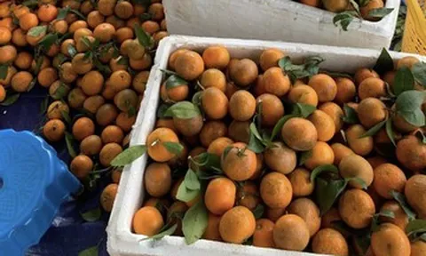 Xăng dầu tăng chóng mặt, dân buôn online đồng loạt “xin thêm 5.000 đồng/đơn”