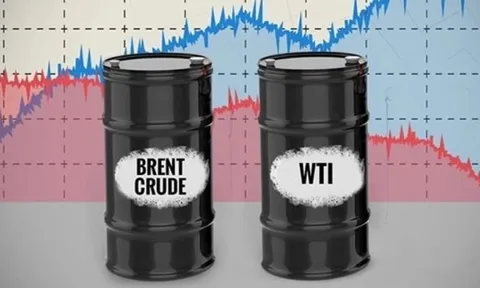 Vì sao giá dầu Brent và WTI đang tiến sát nhau? Phân tích sâu về hai chuẩn dầu lớn nhất thế giới