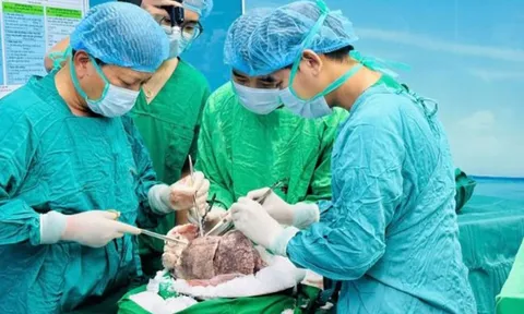 Chi phí ghép phổi rẻ hơn Mỹ 25 lần, Việt Nam 'tỏa sáng' trên bản đồ ghép tạng