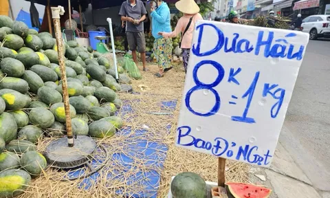 Cam sành, dưa hấu ‘dội chợ’, bán đầy vỉa hè và chợ mạng