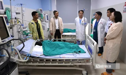 Cuộc chạy đua đưa "thần dược" giải độc 8.000 USD cứu bệnh nhi ngộ độc cá ủ chua