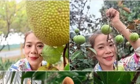 Nữ đại gia Vbiz là phó chủ tịch tập đoàn dược, sở hữu vài biệt thự nghìn m2: Tuổi U55 thích làm "nông dân", khoe gia tài lớn "đếm mỏi tay" ai cũng trầm trồ