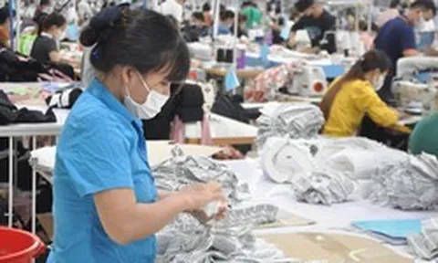 Cập nhật mới nhất: Người trên 40 tuổi muốn "nghỉ hưu sớm" sẽ nhận được gì? Có được hưởng lương hưu không?