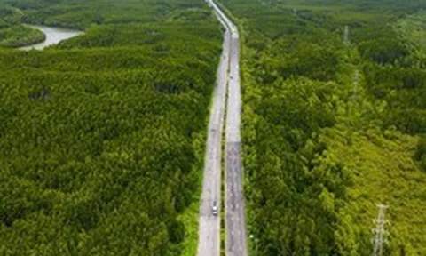 UBND TPHCM ban hành kế hoạch giải phóng mặt bằng tuyến đường sắt Bến Thành - Cần Giờ