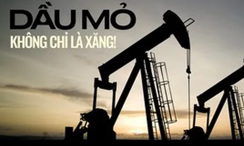 Không chỉ là xăng: 8 thứ quen thuộc từ bữa cơm đến viên kẹo được sinh ra từ dầu mỏ