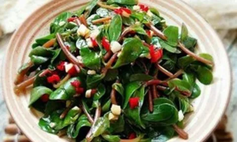 3 loại rau dại ven đường giúp “chống ung thư”, rẻ bèo ngoài chợ, mùa này không ăn là tiếc