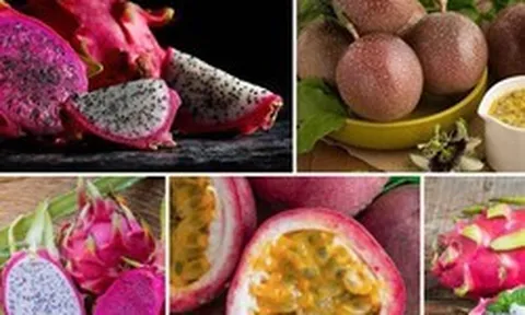 Chanh leo và thanh long Việt Nam đối diện nguy cơ bị EU siết chặt kiểm soát