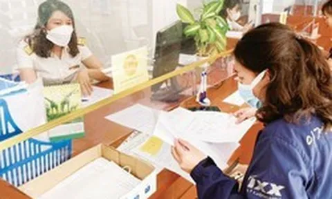 Tất cả hộ, cá nhân kinh doanh cần đặc biệt lưu ý thông tin sau