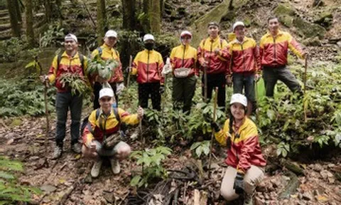 Sâm Ngọc Linh và bài toán kiểm soát chất lượng