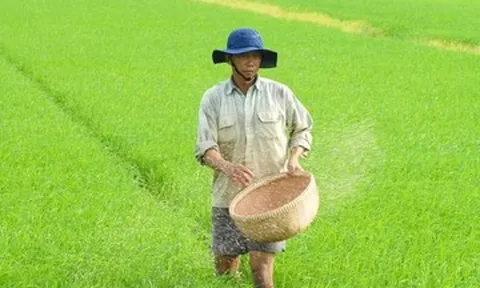 Doanh nghiệp, hiệp hội chung tay giữ nhịp sản xuất nông nghiệp