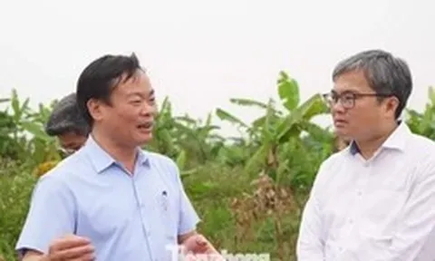 Lãnh đạo Hà Nội trực tiếp "vi hành", đề xuất chính sách đặc thù đẩy nhanh tiến độ cầu Tứ Liên