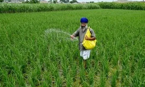 Giá mặt hàng quan trọng tăng sốc tới 83%, một quốc gia BRICS lập tức 'cầu cứu' từ Nga đến Việt Nam để nhập khẩu