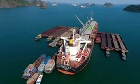 Đối tác từ Mỹ muốn đầu tư cảng Con Ong - Hòn Nét