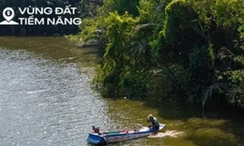 Toàn cảnh khu đất 187 ha toàn dừa nước, cỏ dại đang được Sun Group rót 6 tỷ USD để biến thành siêu đô thị ở TP.HCM