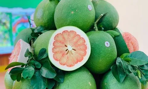 Trái bưởi Việt chính thức vào Úc sau 2 năm đàm phán