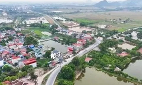 Hà Nội: Chuẩn bị đấu giá hơn 52ha đất nông nghiệp công ích, khởi điểm 775 đồng/m2/năm