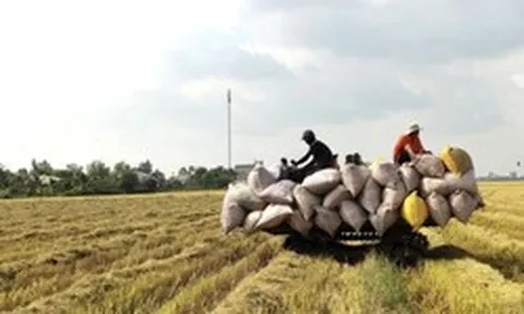 Giá xăng dầu điều chỉnh nhưng nhiều dịch vụ lại không giảm tương ứng