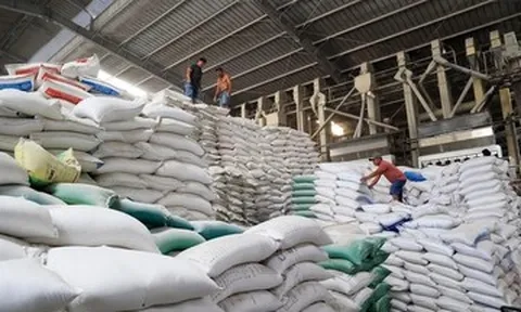 Bị sa thải vì giám định lô gạo gây thiệt hại tiền tỷ, người lao động thua kiện