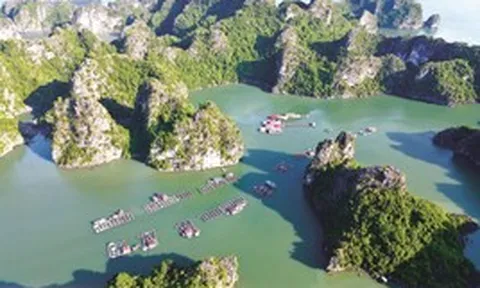 Chính phủ phê duyệt nhiệm vụ lập Quy hoạch bảo tồn, phát huy tiềm năng vịnh Hạ Long