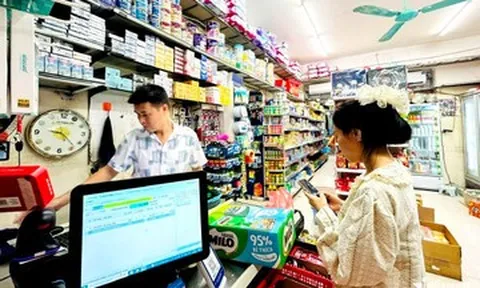 Phần lớn hộ kinh doanh lãi ít, chỉ đủ duy trì hoạt động, không có tích luỹ