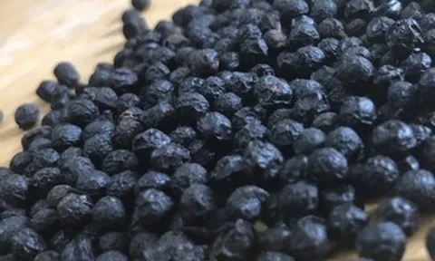 Ba quốc gia ồ ạt gom mua một loại hạt của Việt Nam