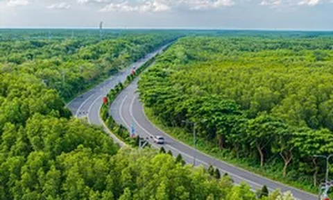 Đề xuất xây hai đảo nhân tạo trên biển, gần TP HCM