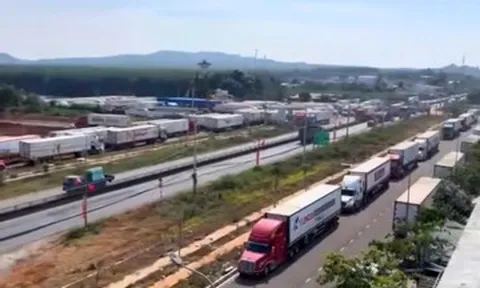 Hàng trăm xe container chở sầu riêng ùn ứ ở Dầu Giây, xếp hàng chờ kiểm định