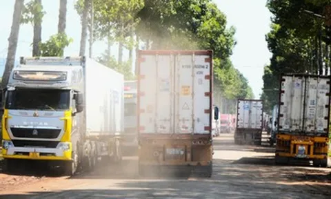Dầu Giây hết cảnh container sầu riêng chờ kiểm định, áp lực với chủ hàng vẫn lớn