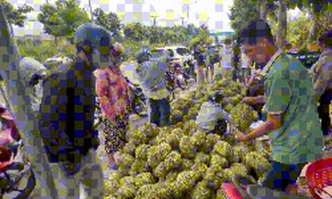 Hệ lụy từ việc đua nhau sản xuất theo phong trào
