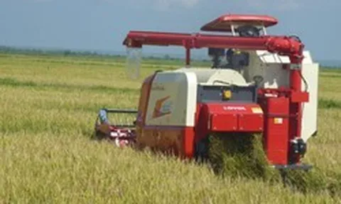 Cuba đón tin cực vui từ Việt Nam