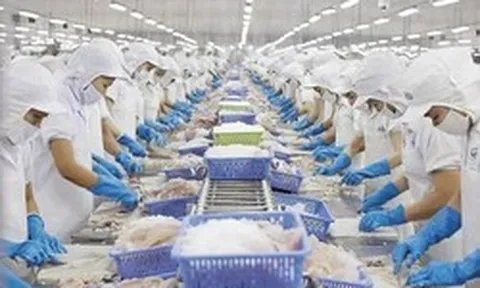 Xuất khẩu thủy sản hướng tới mục tiêu 12 tỷ USD