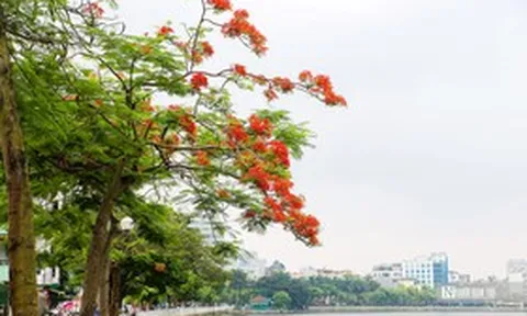 Kí ức niềm thương nhớ