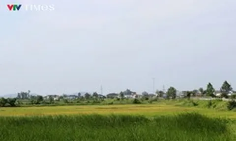 Nghệ An: Nhanh chóng tháo gỡ “nút thắt” dự án khu công nghiệp hơn 1.300 tỷ đồng