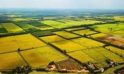 Sửa Luật Đất đai: Hết thời đầu cơ, gom đất để đón đền bù?