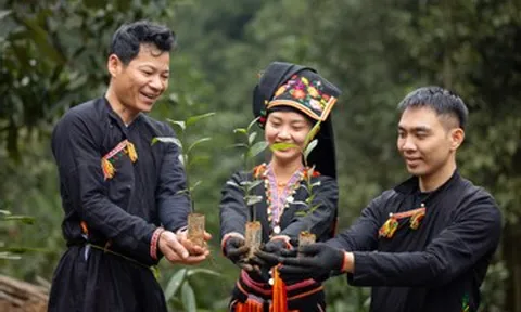 ofi ghi dấu với chiến lược phát triển bền vững tại Giải thưởng Rồng Vàng 2026