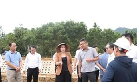 Lãnh đạo Đà Nẵng ra "tối hậu thư" với dự án gần 50 tỉ đồng kéo dài 9 năm