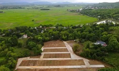 Thanh Hóa phản hồi vụ san gạt cả quả đồi, phân lô bán nền tại nhiều nơi