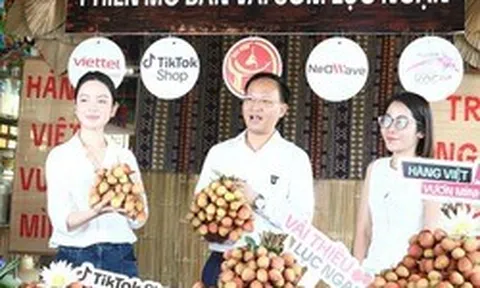 Phó chủ tịch tỉnh livestream bán vải thiều thu hút hàng trăm ngàn lượt xem, chốt 4.830 đơn