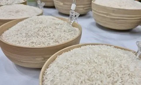 Ngành điều, gạo, rau quả trước quy định nhập khẩu mới của Trung Quốc