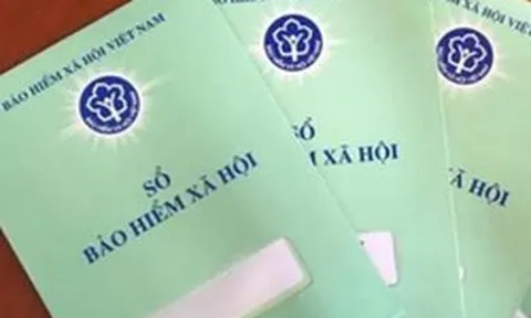 Ký hợp đồng dịch vụ có phải đóng các loại bảo hiểm?