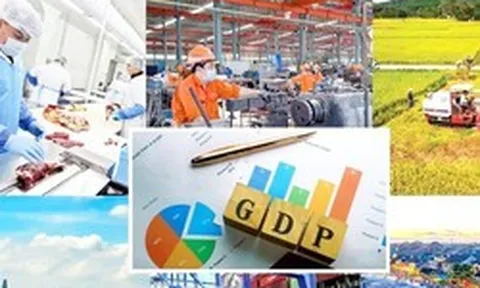 Phân công lãnh đạo Chính phủ theo dõi, chỉ đạo các địa phương thực hiện mục tiêu tăng trưởng kinh tế trên 10%