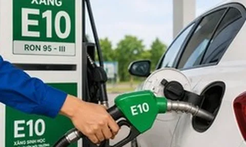 Hiệp hội ô tô, xe máy nói gì về xăng E10?