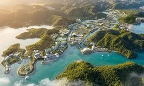 MIK Group và “cuộc gặp gỡ” khí chất đất Cảng