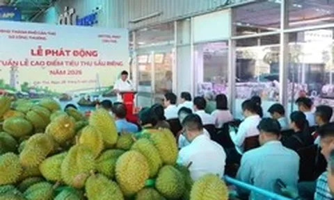 Cần Thơ 'giải cứu' sầu riêng