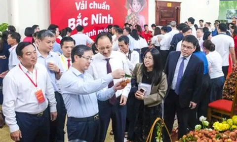Không chỉ bán theo mùa, Bắc Ninh muốn nâng tầm vải thiều thành nông sản cao cấp