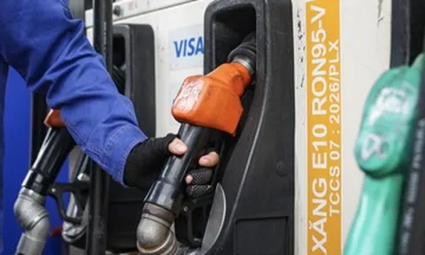 Việt Nam không phải là nơi thử nghiệm xăng E10, thế giới đã kiểm chứng